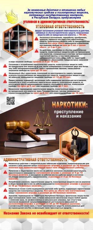 Административная_и_уголовная_ответственность_-_копия_-_копия_-_копия.jpg